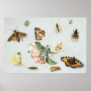 Butterflies, moden en andere insecten poster