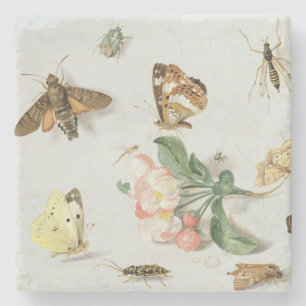 Butterflies, moden en andere insecten stenen onderzetter