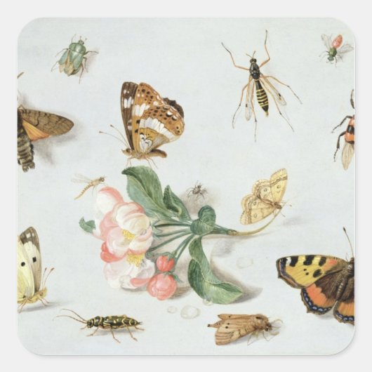 Butterflies, moden en andere insecten vierkante sticker (Voorkant)