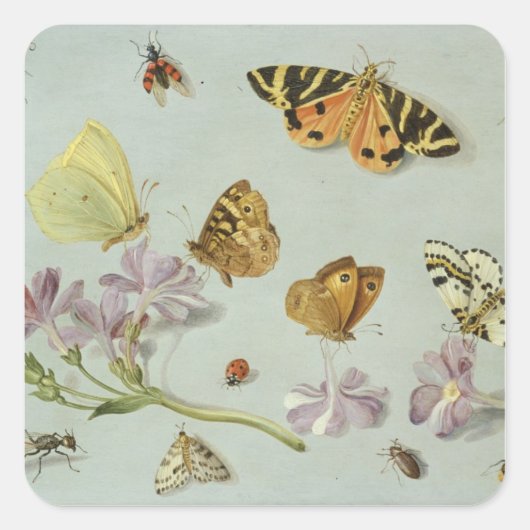 Butterflies, moden en andere insecten vierkante sticker (Voorkant)