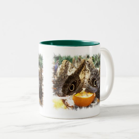 BUTTERFLIES MOK met tweetonige KOFFIE (Voorkant rechts)