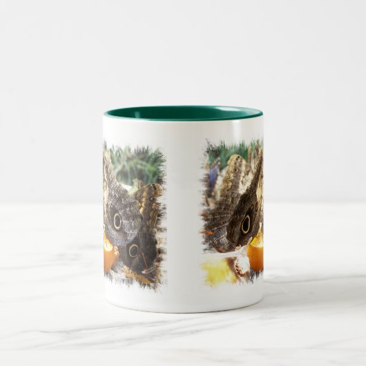 BUTTERFLIES MOK met tweetonige KOFFIE (Center)