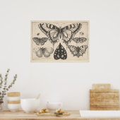 Butterflies Moth Lepidoptera Print (59) (Keuken)