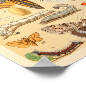 Butterflies Moths Caterstyle Collectie Art Print (Hoek)