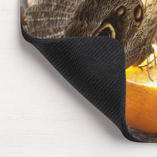 BUTTERFLIES MUISMAT (Hoek)