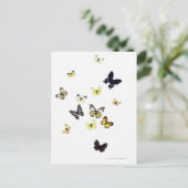 Butterflies neergeschoten op wit briefkaart (Staand voorkant)