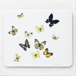 Butterflies neergeschoten op wit muismat