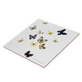 Butterflies neergeschoten op wit tegeltje (Zijkant)