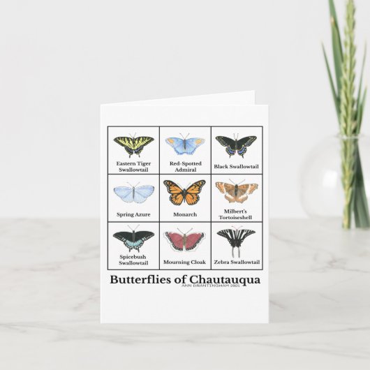 Butterflies of Chautauqua  Kaart (Voorkant)