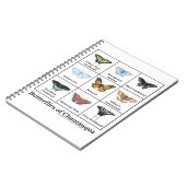 Butterflies of Chautauqua Notitieboek (Linkerzijde)