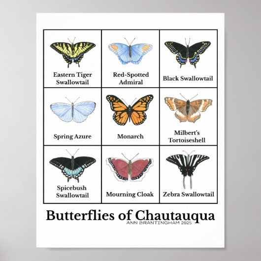 Butterflies of Chautauqua Poster (Voorkant)