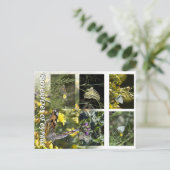 Butterflies of Cyprus briefkaart (Staand voorkant)