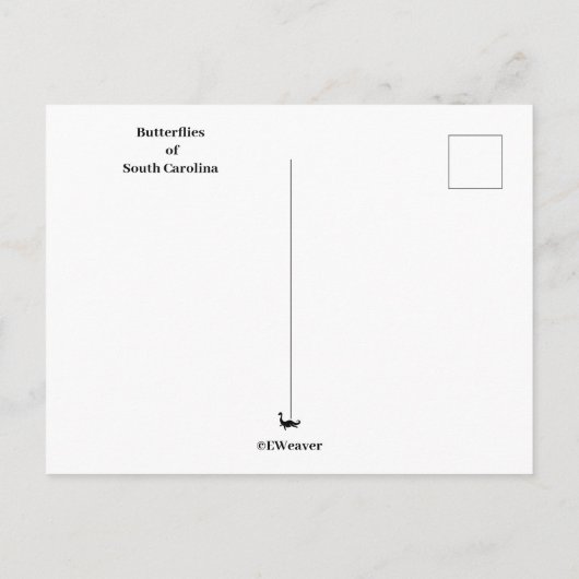 Butterflies of South Carolina Briefkaart (Achterkant)