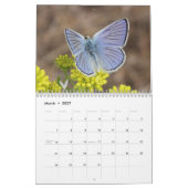 Butterflies of the Rocky Mountains 2014 Kalender (Mar 2027)