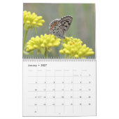 Butterflies of the Rocky Mountains 2014 Kalender (Jan 2027)