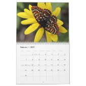 Butterflies of the Rocky Mountains 2014 Kalender (Feb 2027)