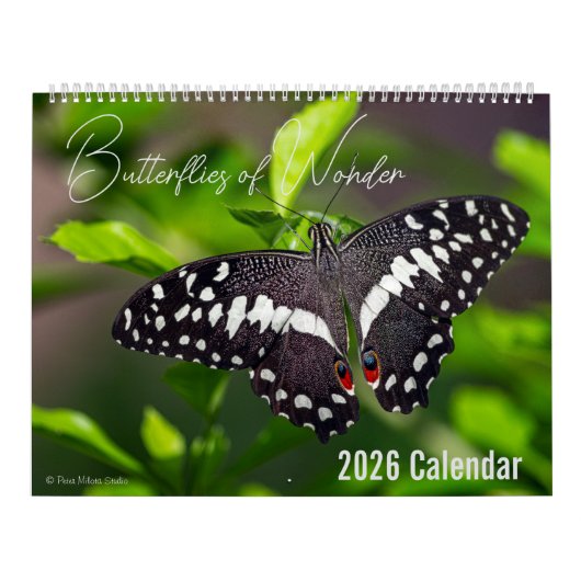Butterflies of Wonder 2026 Nature Calendar Kalender (Hoes)
