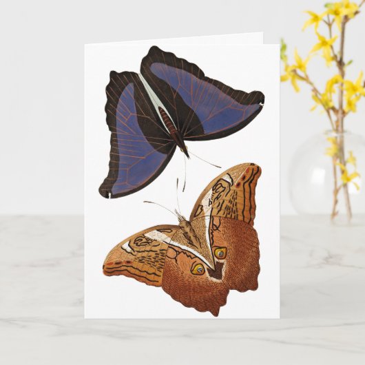  Butterflies Old Book Illustration Artwork Kaart (Gele Bloem)
