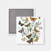 Butterflies op Flowers  illustratie Magneet (Voorkant / Achterkant)