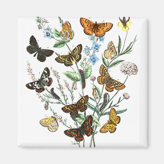 Butterflies op Flowers  illustratie Magneet (Voorkant)