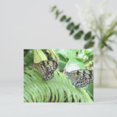 Butterflies op het Briefkaart Fern (Staand voorkant)