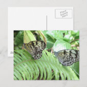 Butterflies op het Briefkaart Fern (Voorkant / Achterkant)