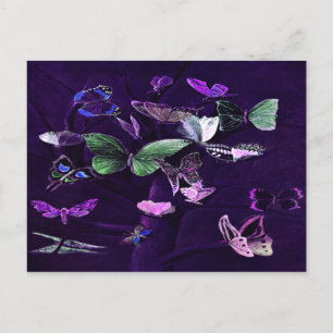 Butterflies op Paars Briefkaart