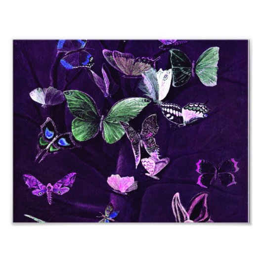 Butterflies op Paars Foto Afdruk (Voorkant)