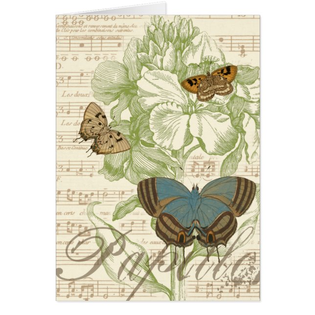 Butterflies op vel Music met Floral Design (Voorkant)