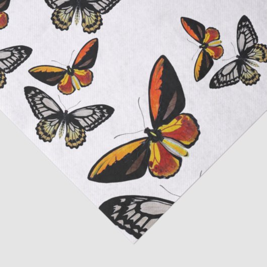 Butterflies overal om papier te verpakken (Detail)