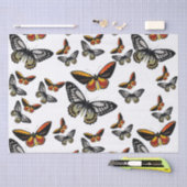 Butterflies overal om papier te verpakken (Craft)