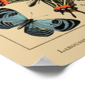 Butterflies - Papillons -  Franse boekenpagina Poster (Hoek)