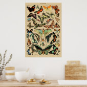 Butterflies - Papillons -  Franse boekenpagina Poster (Keuken)