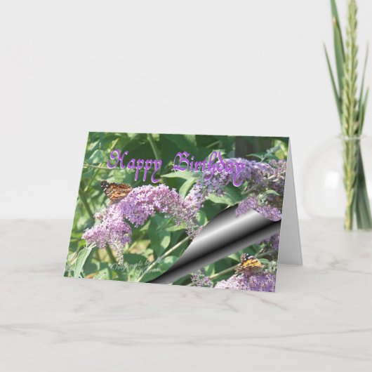 Butterflies-Pas het aan Kaart (Voorkant)