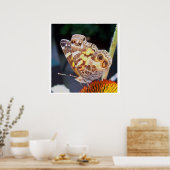 Butterflies Patronen Poster (Keuken)