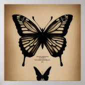  Butterflies Poster (Voorkant)