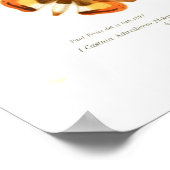 Butterflies Poster (Hoek)