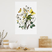 Butterflies Poster (Keuken)