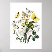 Butterflies Poster (Voorkant)