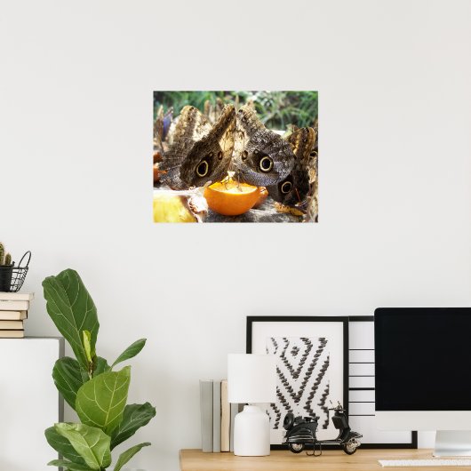 BUTTERFLIES POSTER (Thuiskantoor)