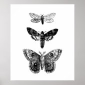 Butterflies Poster (Voorkant)