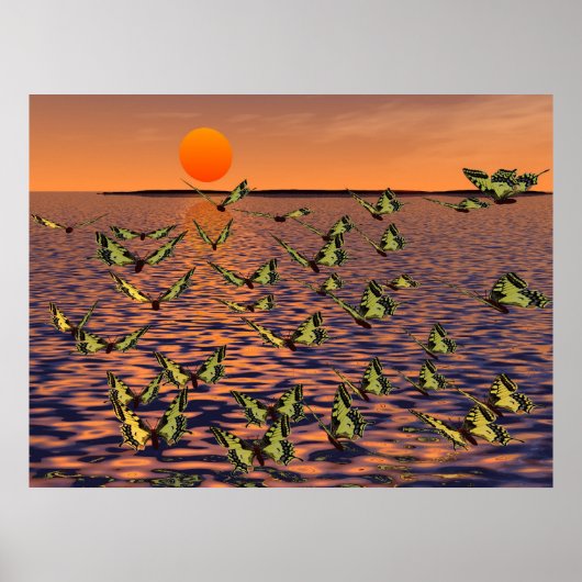 Butterflies Poster (Voorkant)