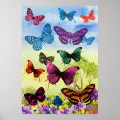 Butterflies Poster (Voorkant)