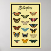  Butterflies Poster (Voorkant)