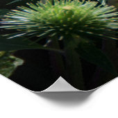 Butterflies Poster (Hoek)