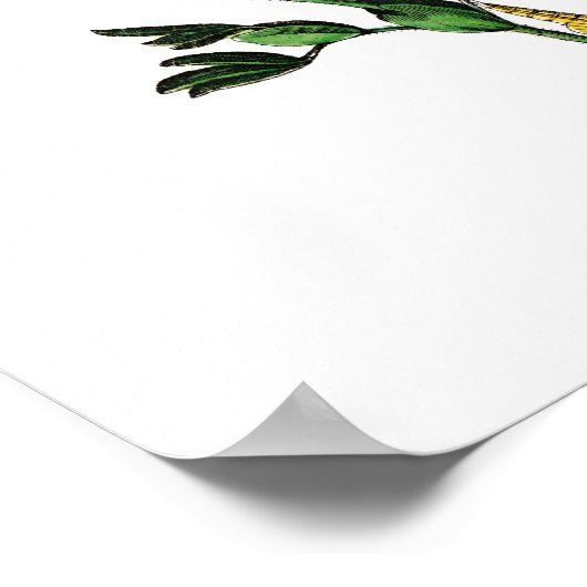  Butterflies Poster (Hoek)