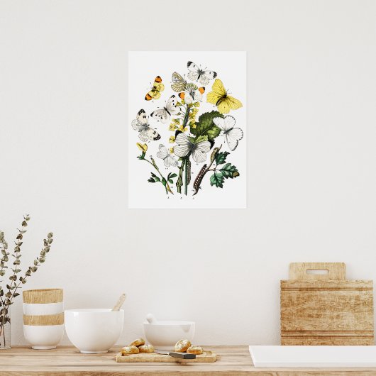  Butterflies Poster (Keuken)