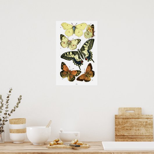 Butterflies Poster (Keuken)