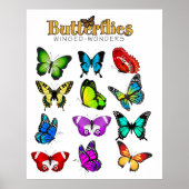 Butterflies Poster (Voorkant)