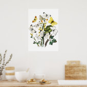  Butterflies Poster (Keuken)